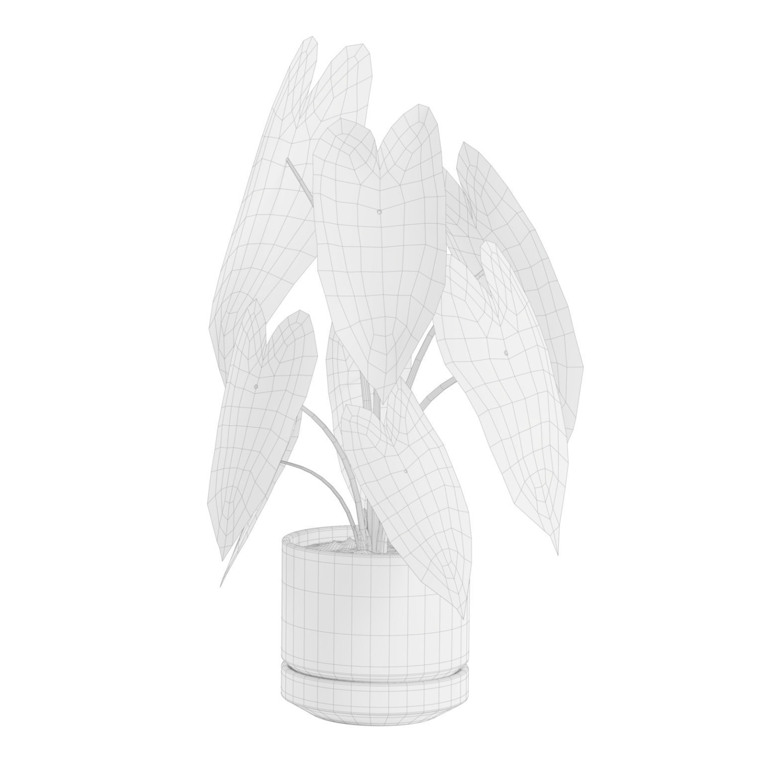 Indoor Plants Pack 30 3D model_8