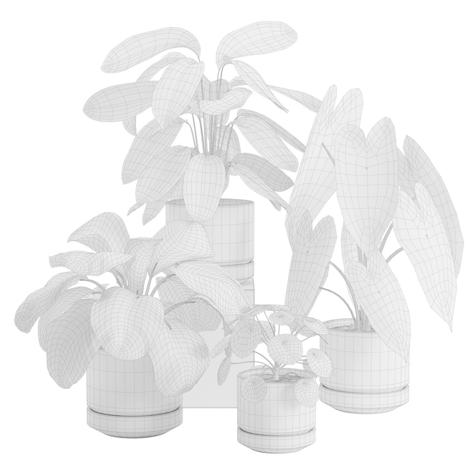Indoor Plants Pack 30 3D model_2