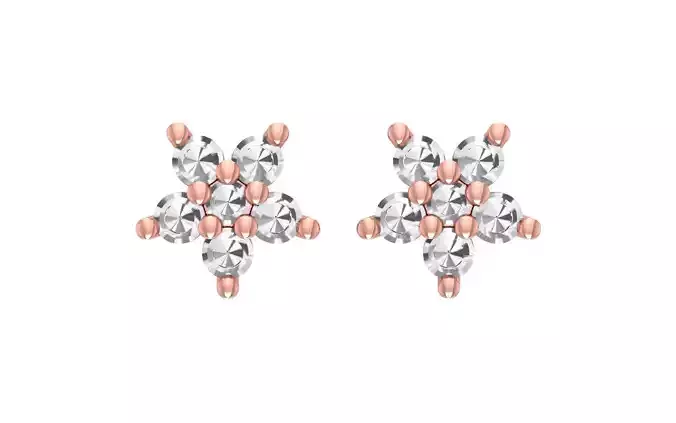 Women Earrings 3dm STL OBJ FBX Renders Details