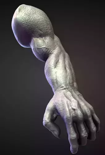 ARM1 high poly sculpt 3D model
