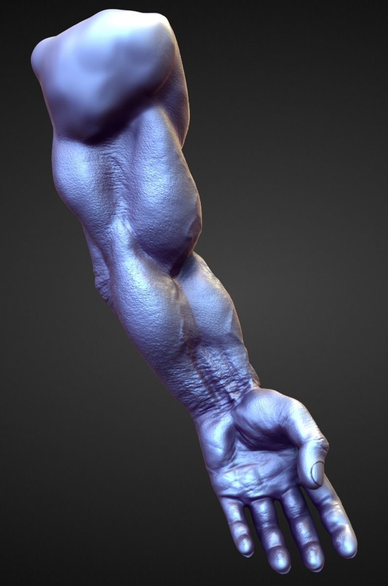 ARM13 high poly sculpt 3D model_1