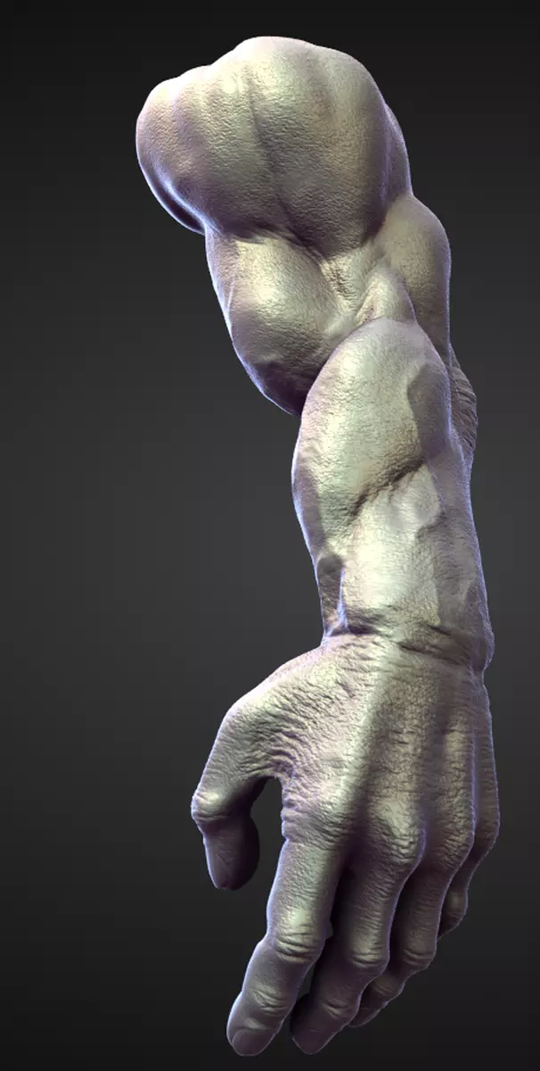 ARM13 high poly sculpt 3D model_0