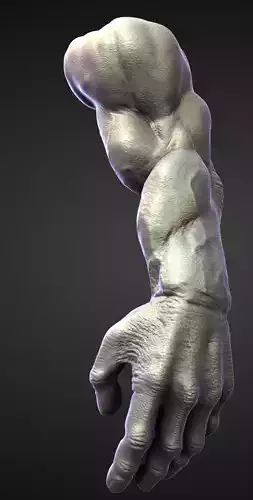 ARM13 high poly sculpt 3D model
