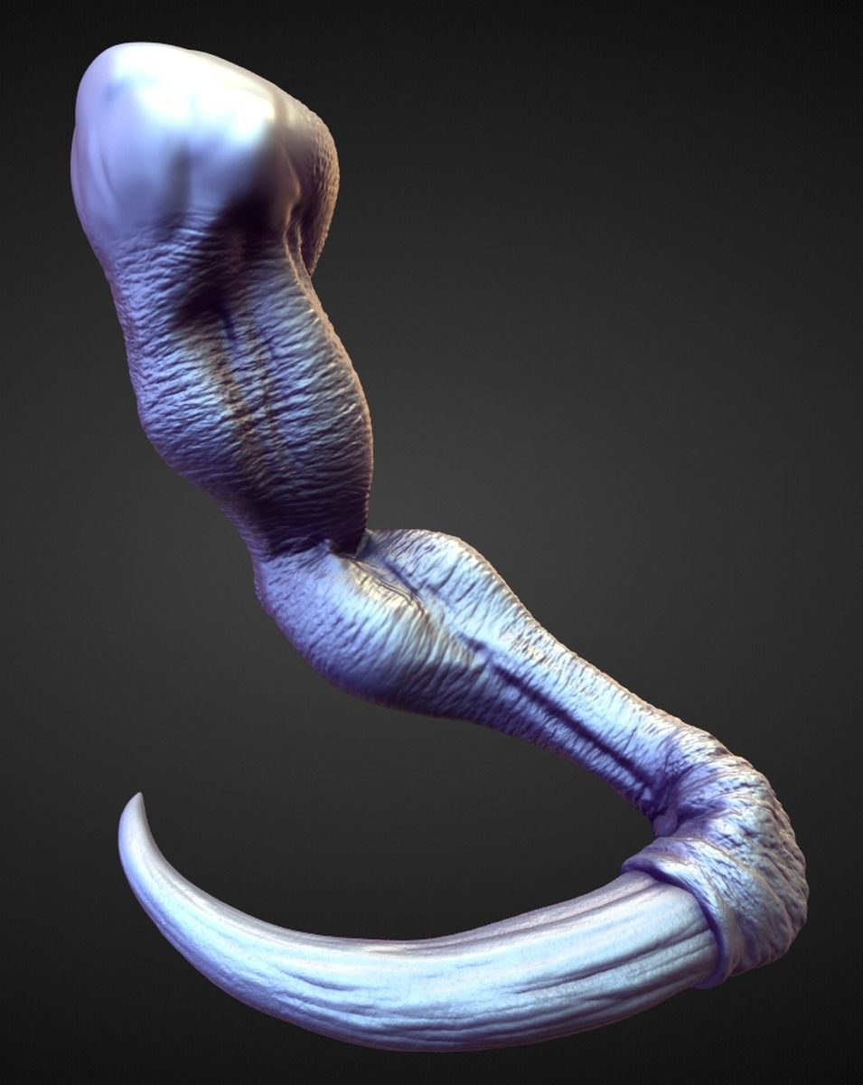 ARM19 high poly sculpt 3D model_1