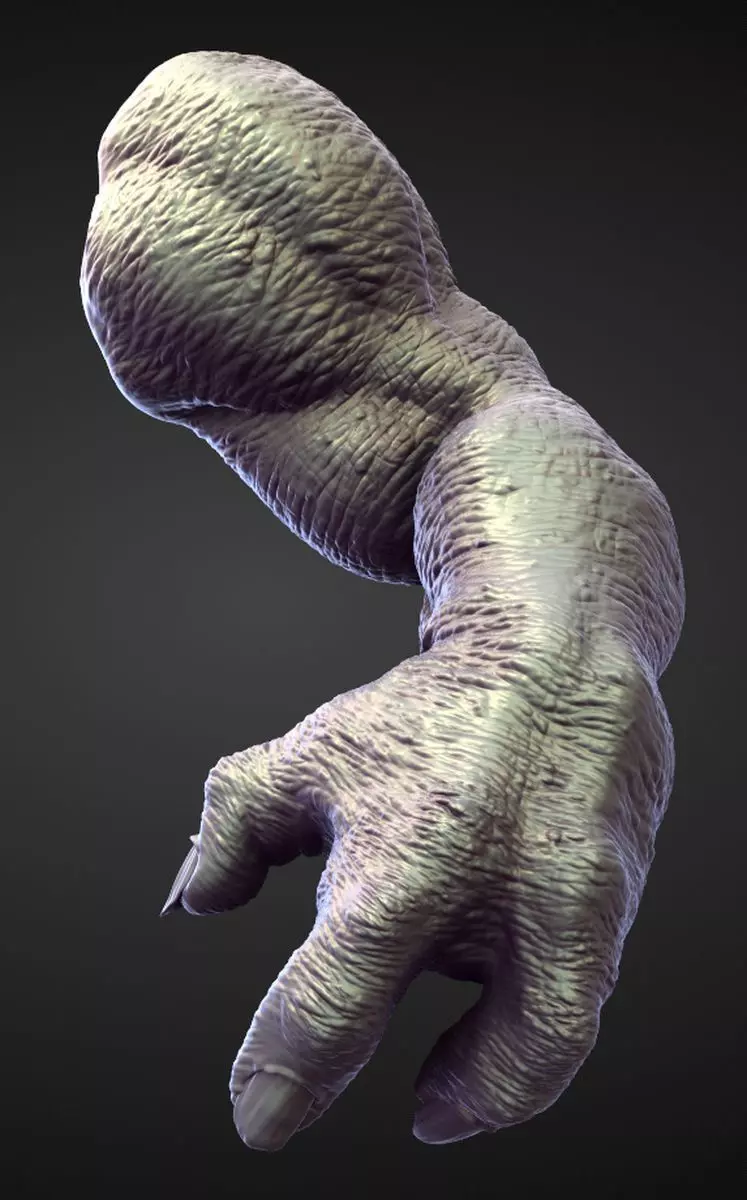 ARM28 high poly sculpt 3D model_0