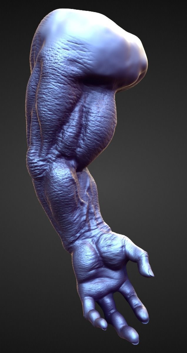 ARM3 high poly sculpt 3D model_1