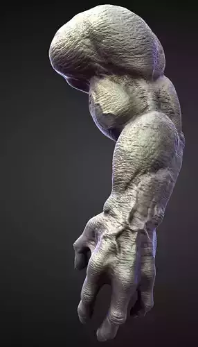 ARM3 high poly sculpt 3D model