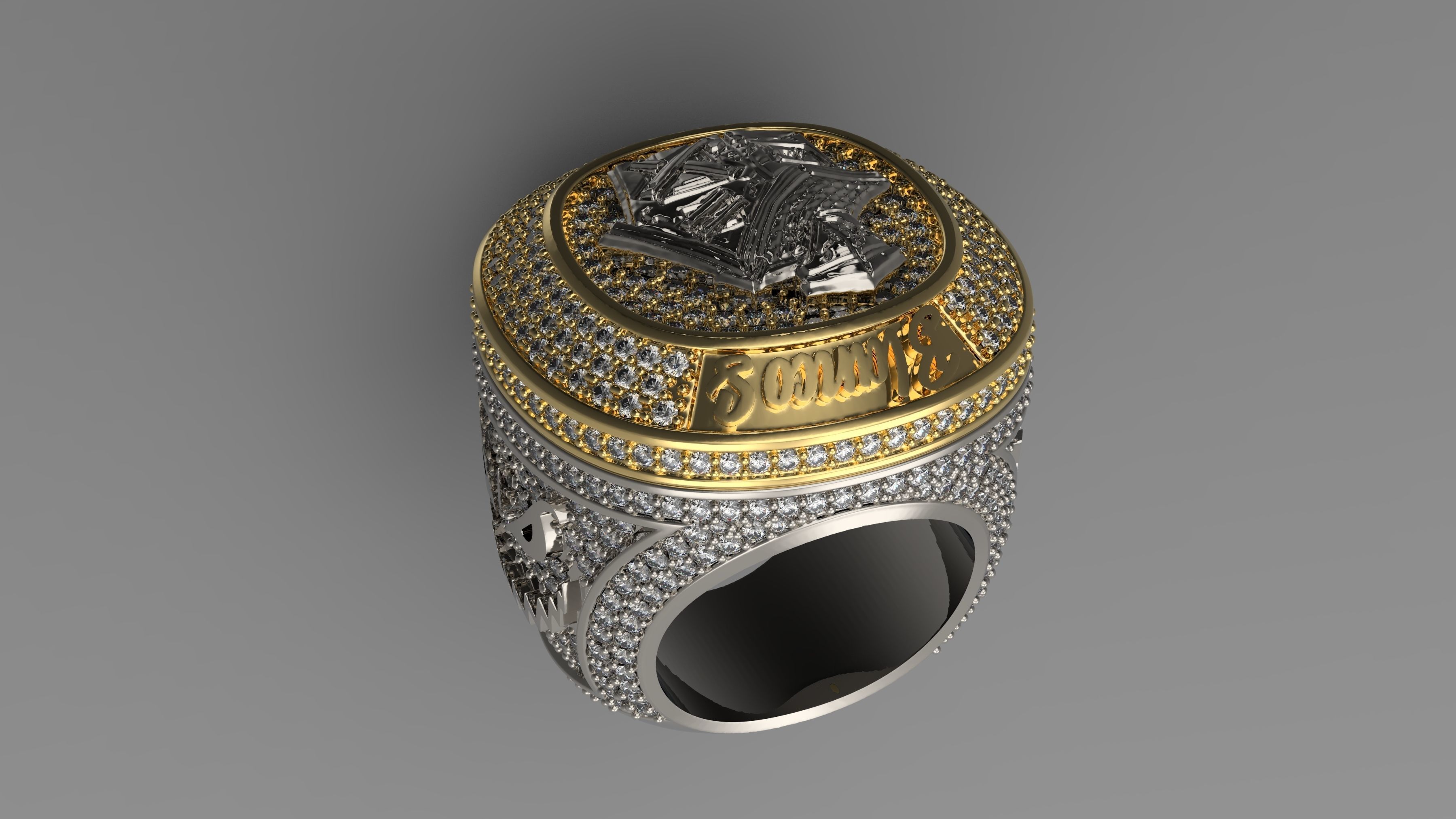 Ring chempion biancos 3D print model_15