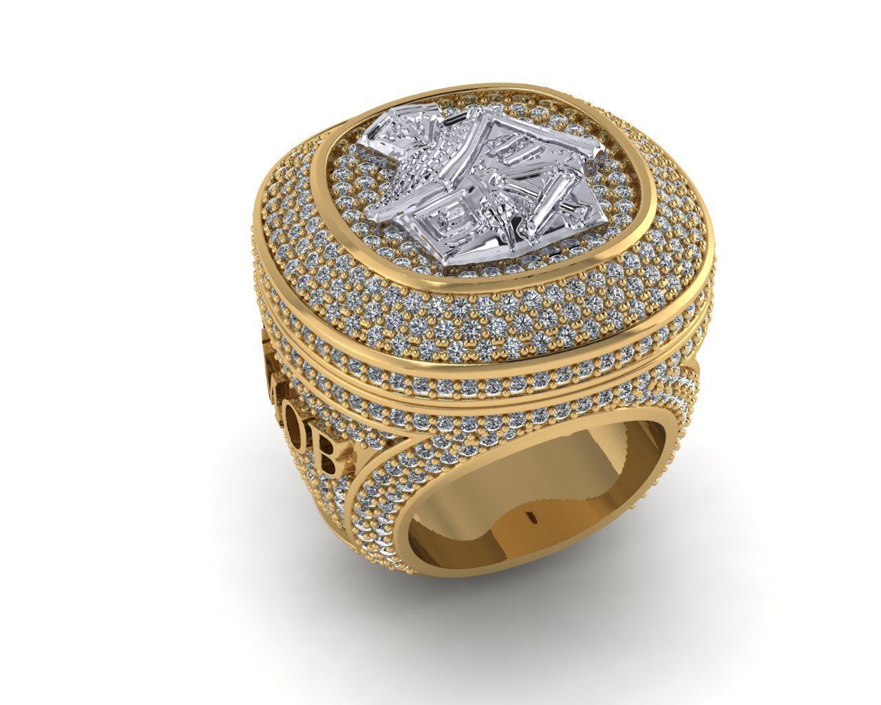 Ring chempion biancos 3D print model_18