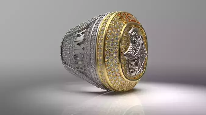 Ring chempion biancos 3D print model