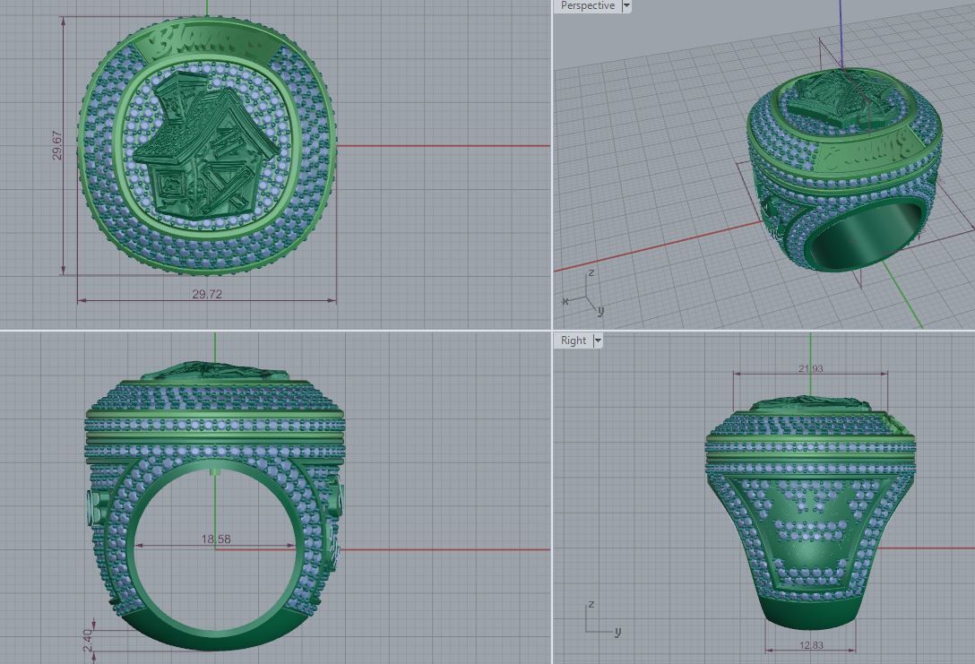 Ring chempion biancos 3D print model_9