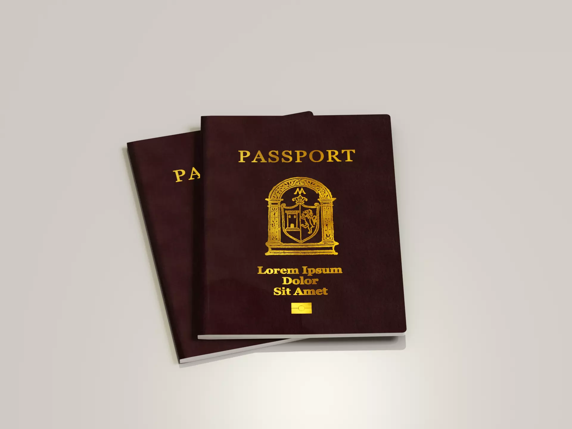 Low-Poly Passport two passports Low-poly 3D model_0