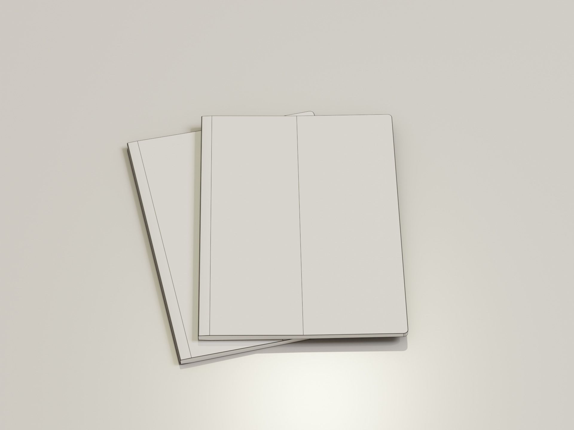 Low-Poly Passport two passports Low-poly 3D model_1