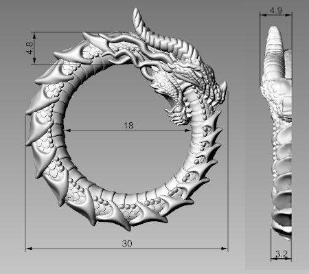 relief dragon uroboros 3d model for 3d printing 3D print model 3D print model_9