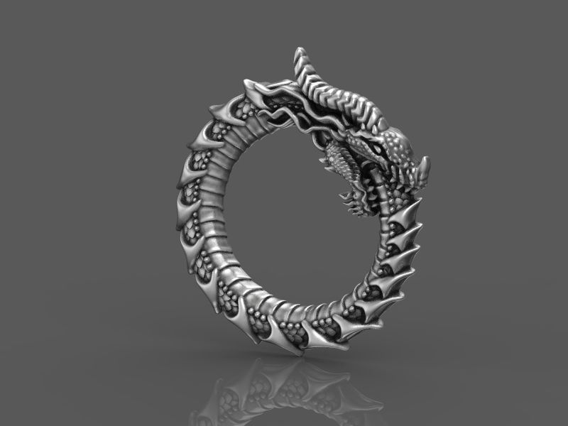relief dragon uroboros 3d model for 3d printing 3D print model 3D print model_1