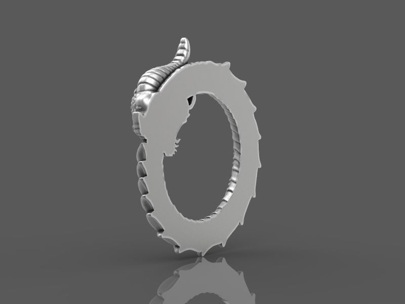 relief dragon uroboros 3d model for 3d printing 3D print model 3D print model_4