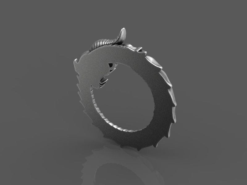 relief dragon uroboros 3d model for 3d printing 3D print model 3D print model_5