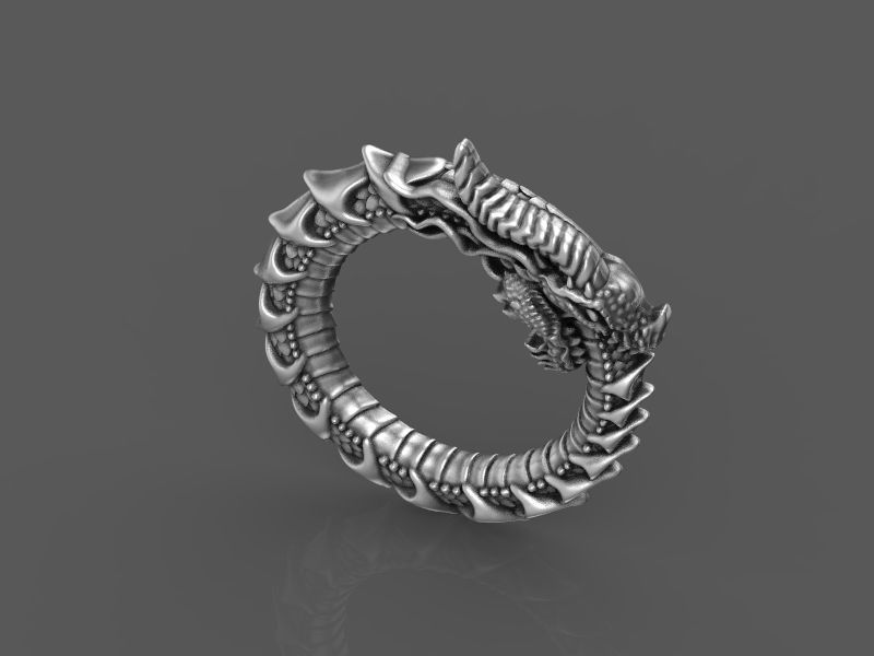 relief dragon uroboros 3d model for 3d printing 3D print model 3D print model_8