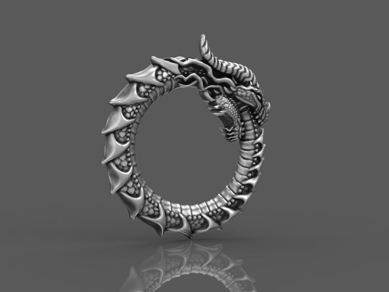 relief dragon uroboros 3d model for 3d printing 3D print model 3D print model_7