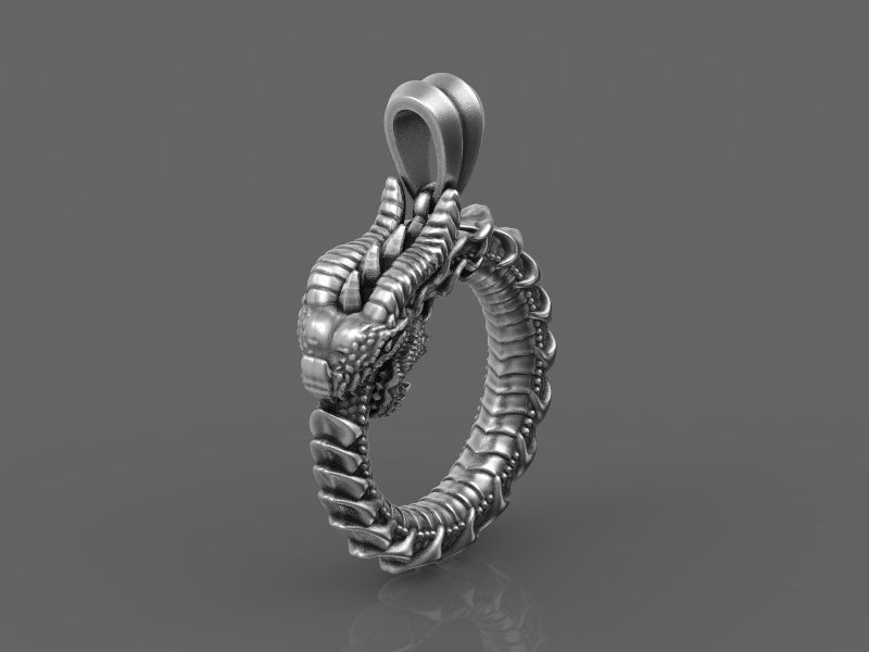 Dragon Eating Its Own Tail 3D print model 3D print model_5