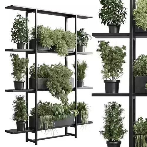 Standing metal shelf with a set of plants