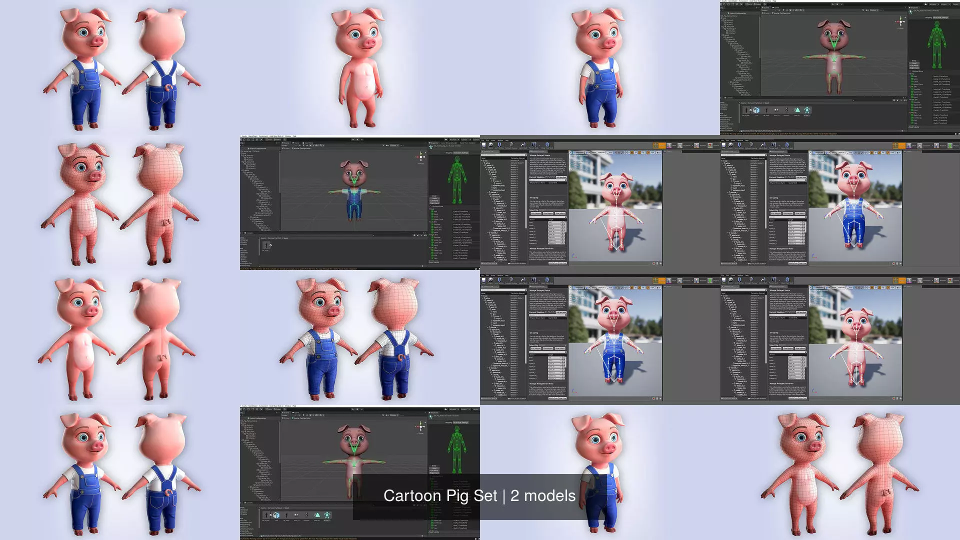 Cartoon Pig Set 3D Model Collection_5