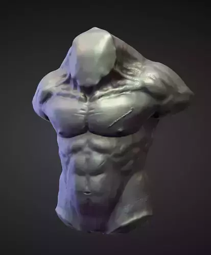 TORSO1 high poly sculpt 3D model
