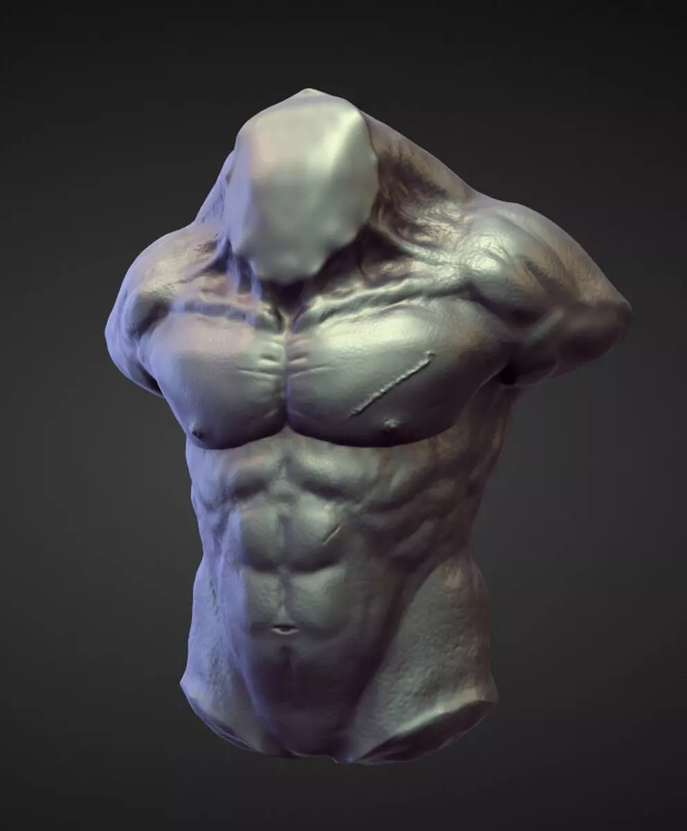 TORSO1 high poly sculpt 3D model_0