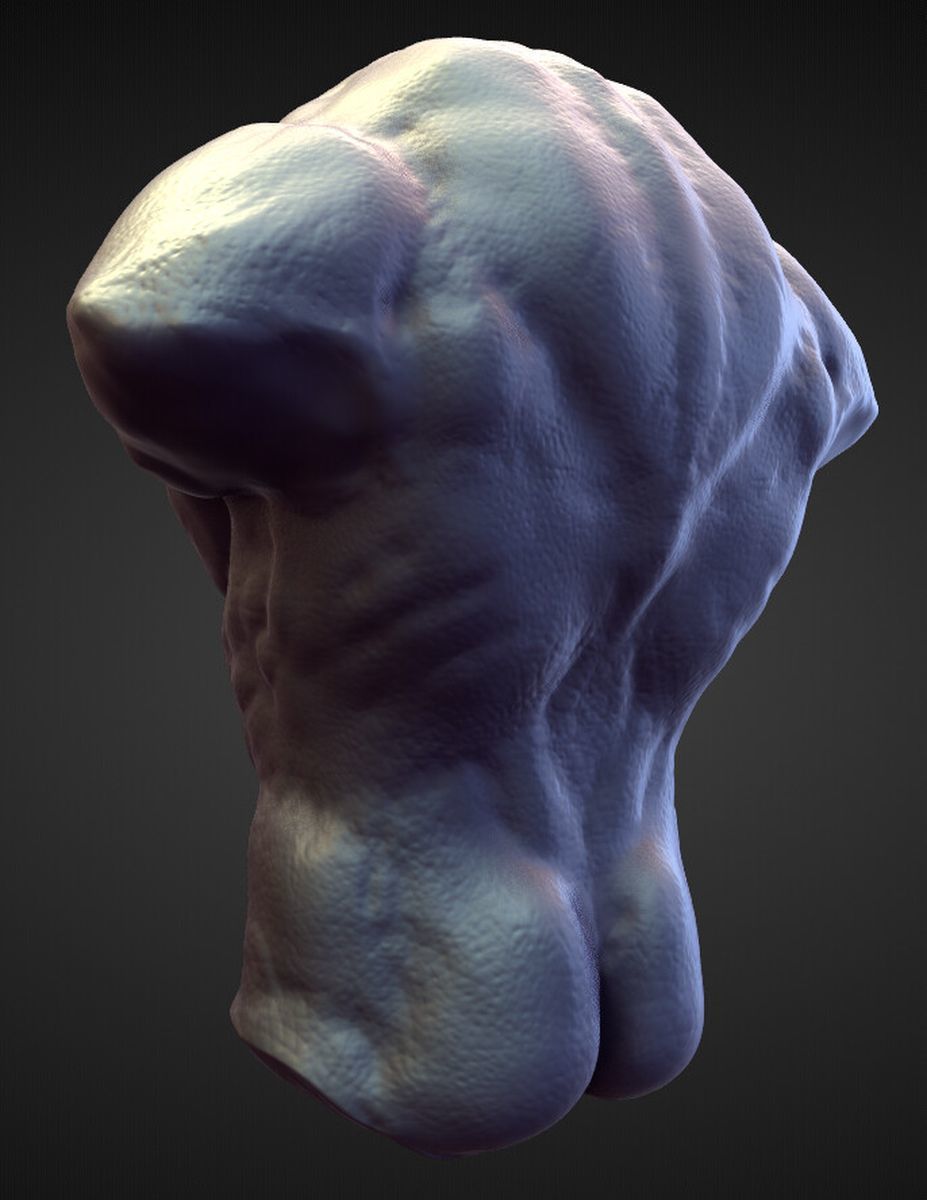 TORSO1 high poly sculpt 3D model_1