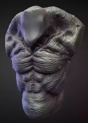 TORSO10 high poly sculpt 3D model