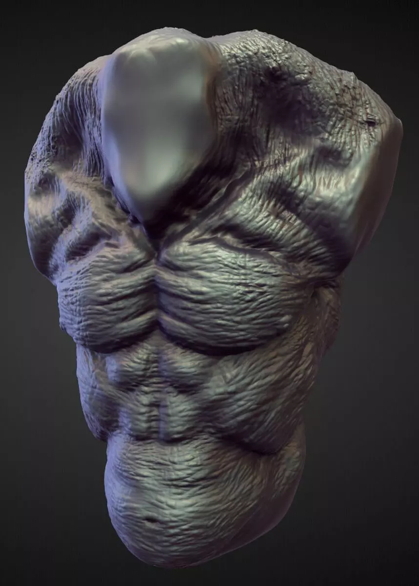 TORSO10 high poly sculpt 3D model_0