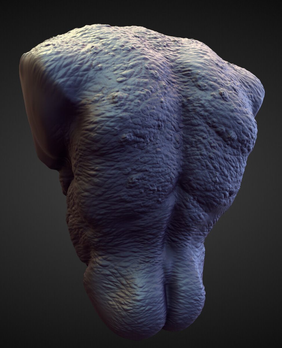 TORSO10 high poly sculpt 3D model_1
