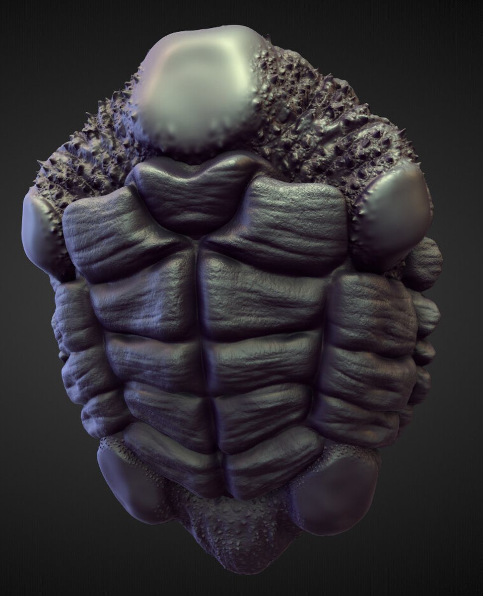 TORSO11 high poly sculpt 3D model_1