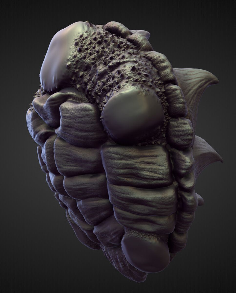 TORSO11 high poly sculpt 3D model_2