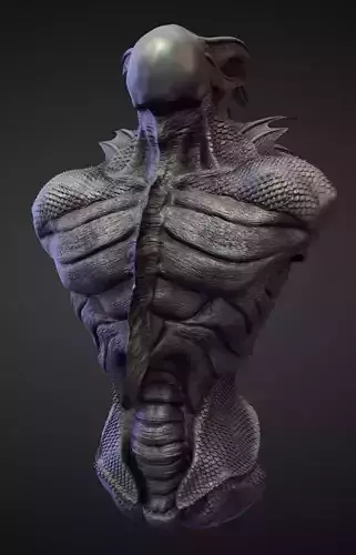 TORSO12 high poly sculpt 3D model