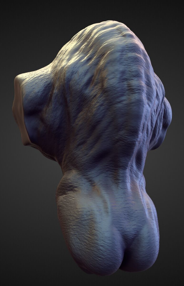TORSO13 high poly sculpt 3D model_1