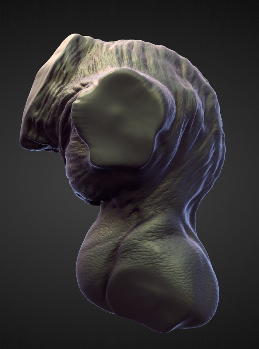 TORSO13 high poly sculpt 3D model_2