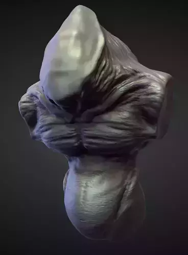 TORSO13 high poly sculpt 3D model