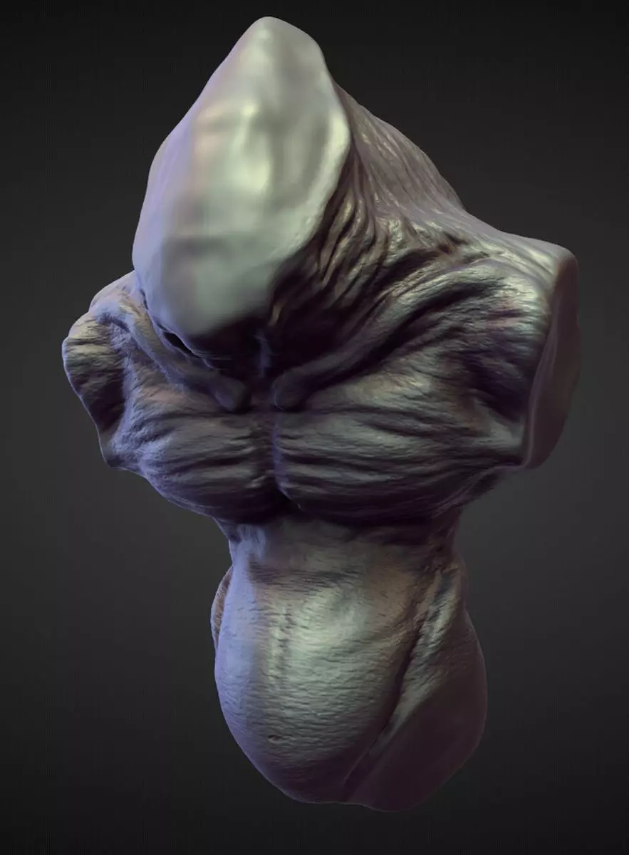 TORSO13 high poly sculpt 3D model_0
