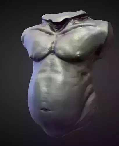 TORSO15 high poly sculpt 3D model