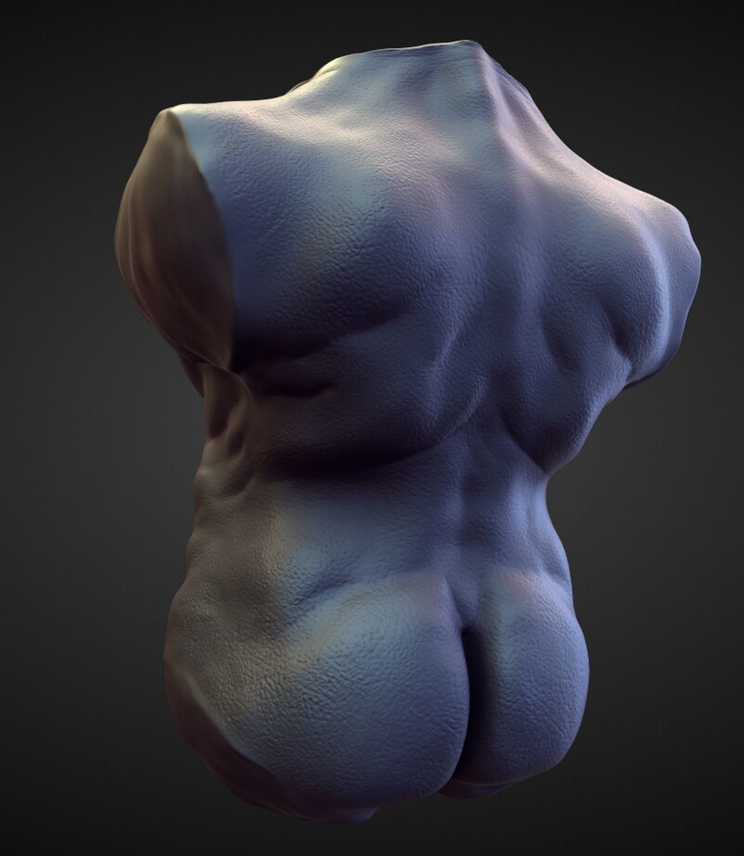 TORSO15 high poly sculpt 3D model_2