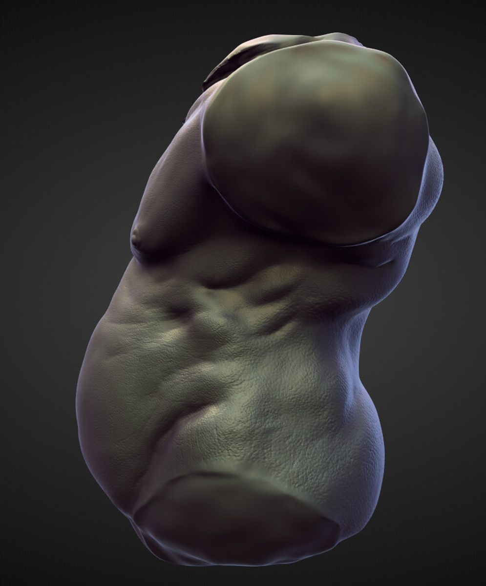 TORSO15 high poly sculpt 3D model_1