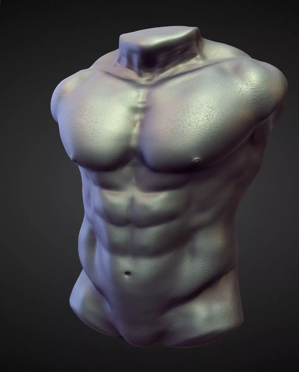 TORSO16 high poly sculpt 3D model_0