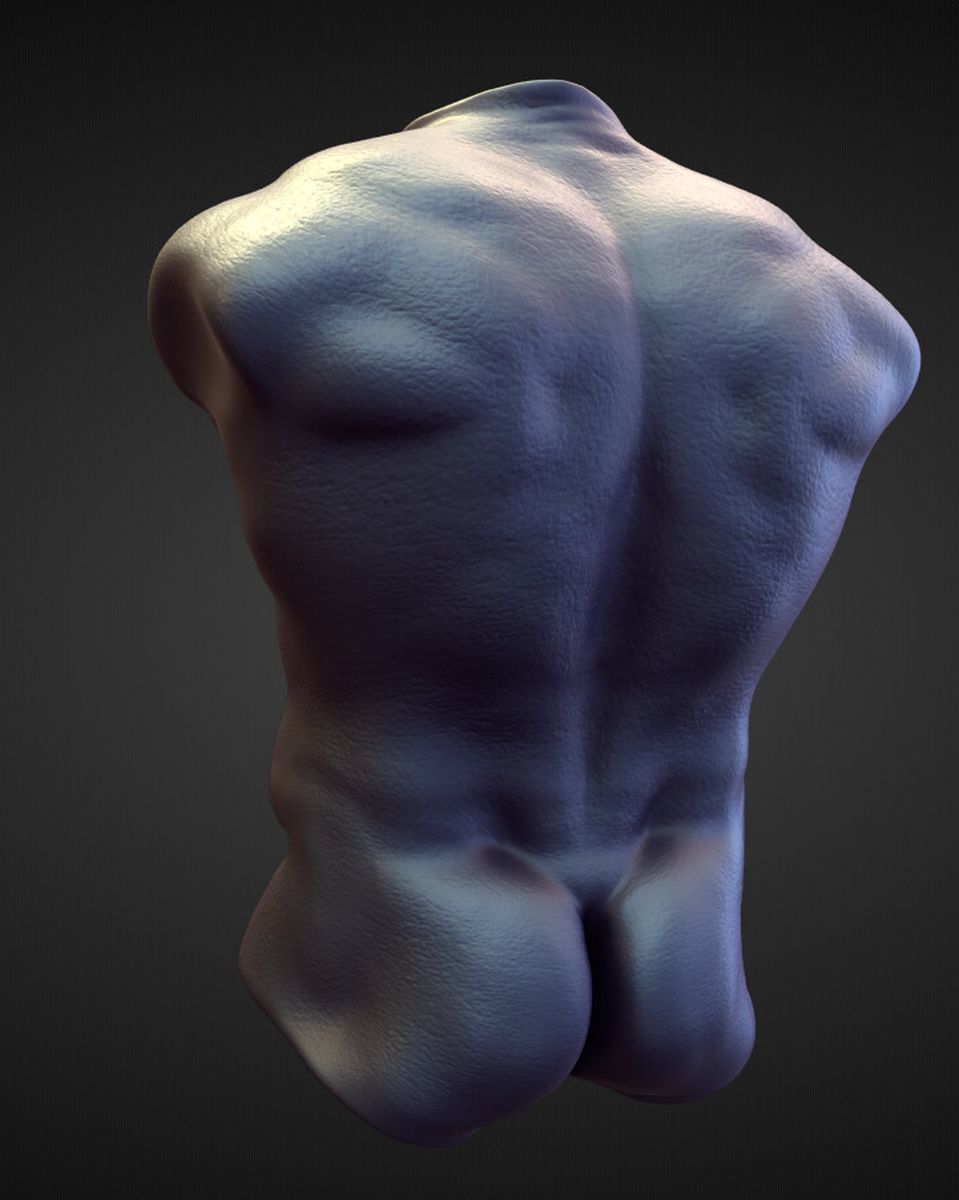 TORSO16 high poly sculpt 3D model_2