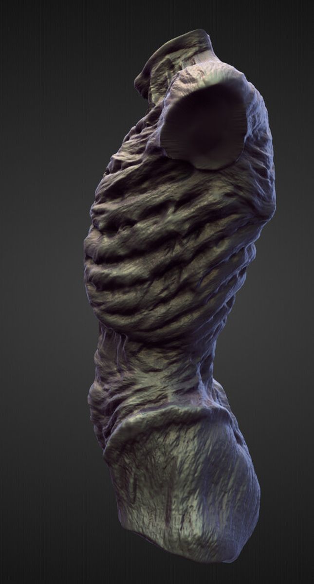 TORSO18 high poly sculpt 3D model_2