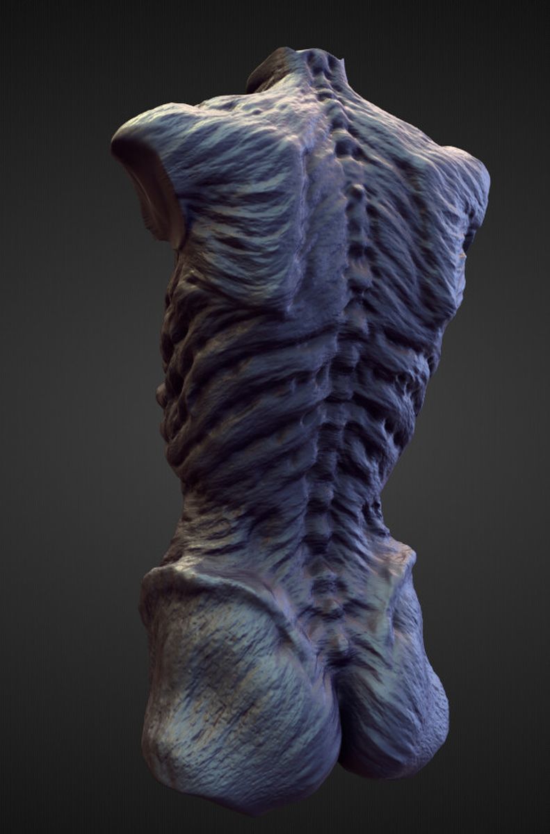TORSO18 high poly sculpt 3D model_1
