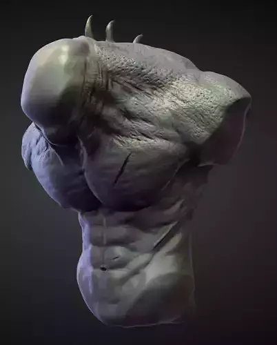TORSO2 high poly sculpt 3D model