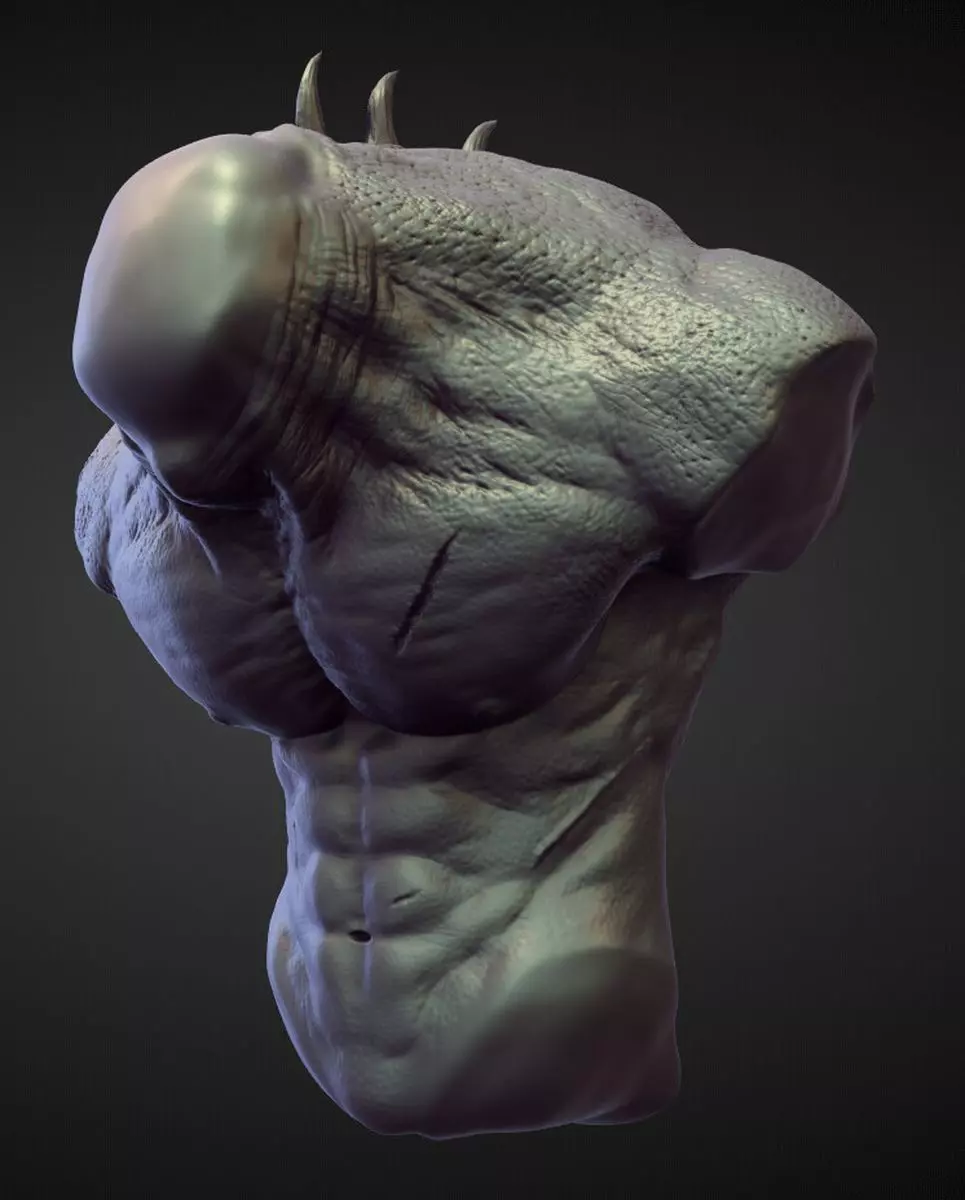 TORSO2 high poly sculpt 3D model_0