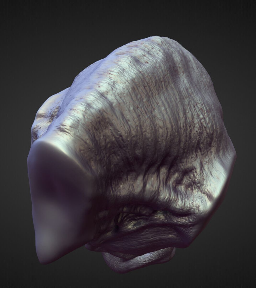 TORSO21 high poly sculpt 3D model_3