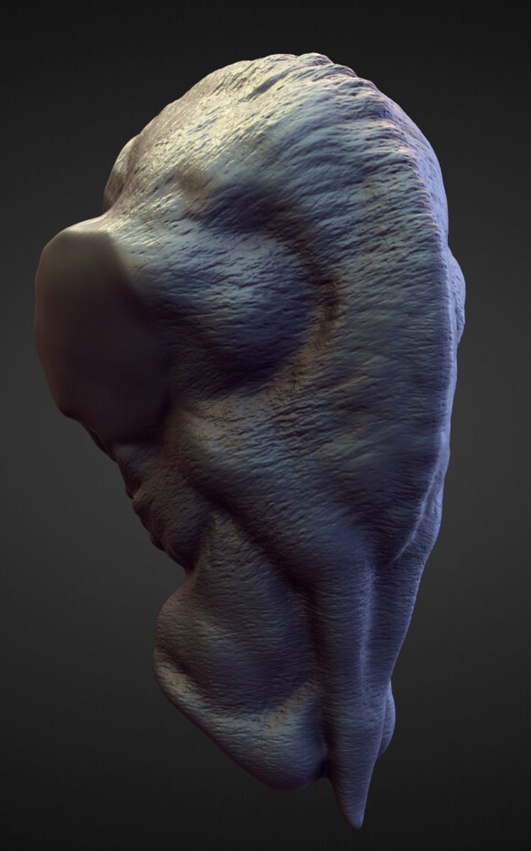 TORSO21 high poly sculpt 3D model_2
